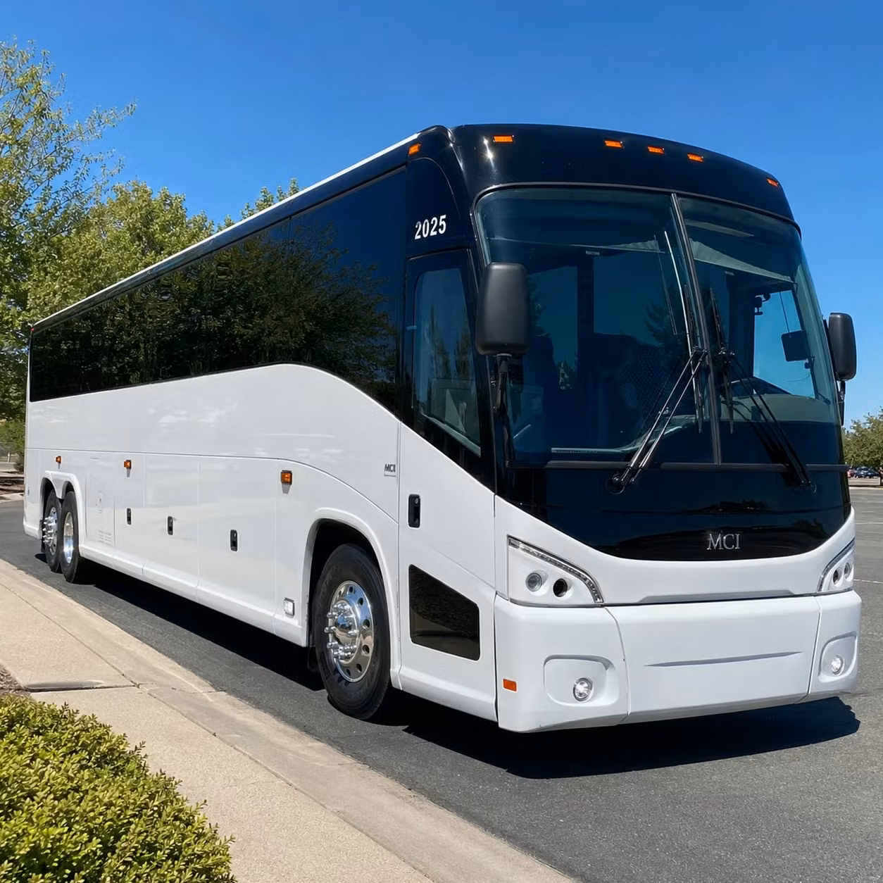 youth group vacation bible school transportation in sterling heights