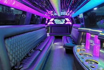 Sterling Heights Limo Interior